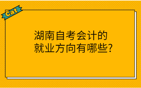 湖南自考会计的就业方向