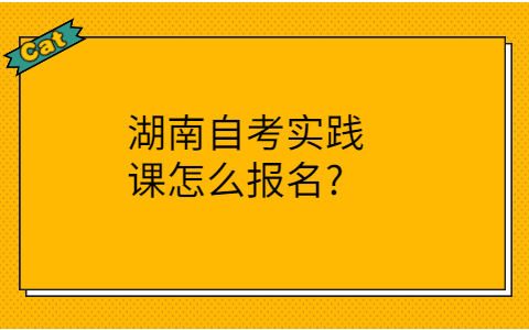 湖南自考实践课报名方法