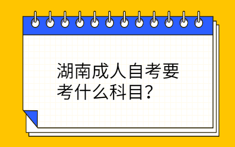 湖南成人自考考试科目