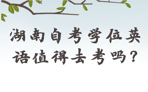 湖南自考学位英语