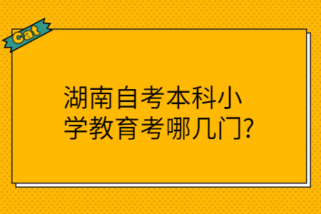 湖南成人自学本科考试有哪些考试科目