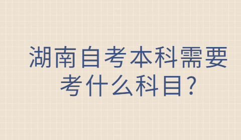 湖南成人自考本科考试