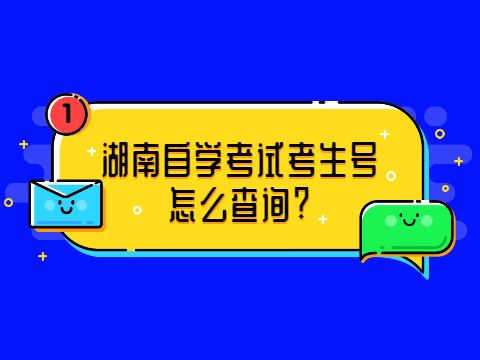 湖南自学考试考生号怎么查询?
