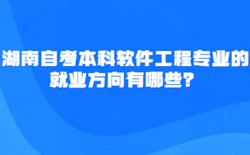 湖南自考本科软件工程专业的就业方向有哪些?