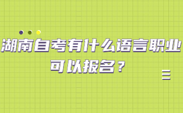 湖南自考有什么语言职业可以报名?