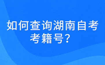 如何查询湖南自考考籍号?