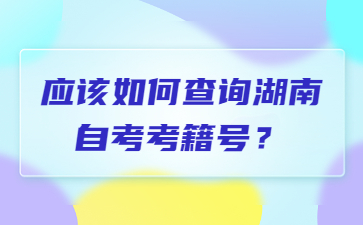 应该如何查询湖南自考考籍号?