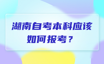 湖南自考本科应该如何报考?